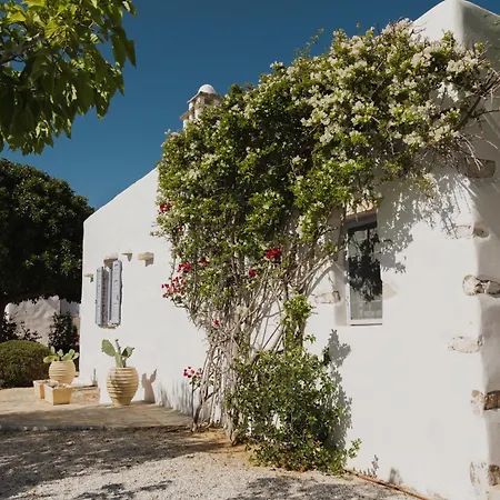 Kalma * Szánda María