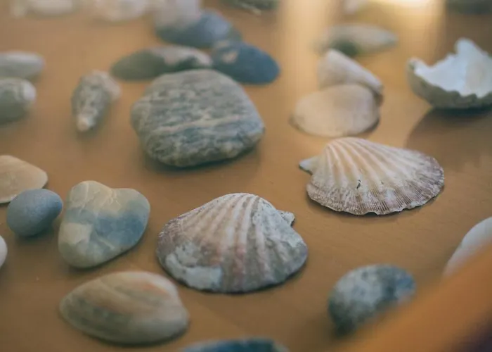 Villa Kalma Santa Maria (Paros)