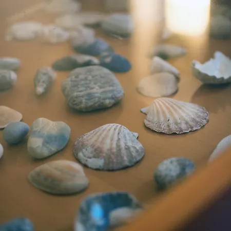 Villa Kalma Santa Maria (Paros)